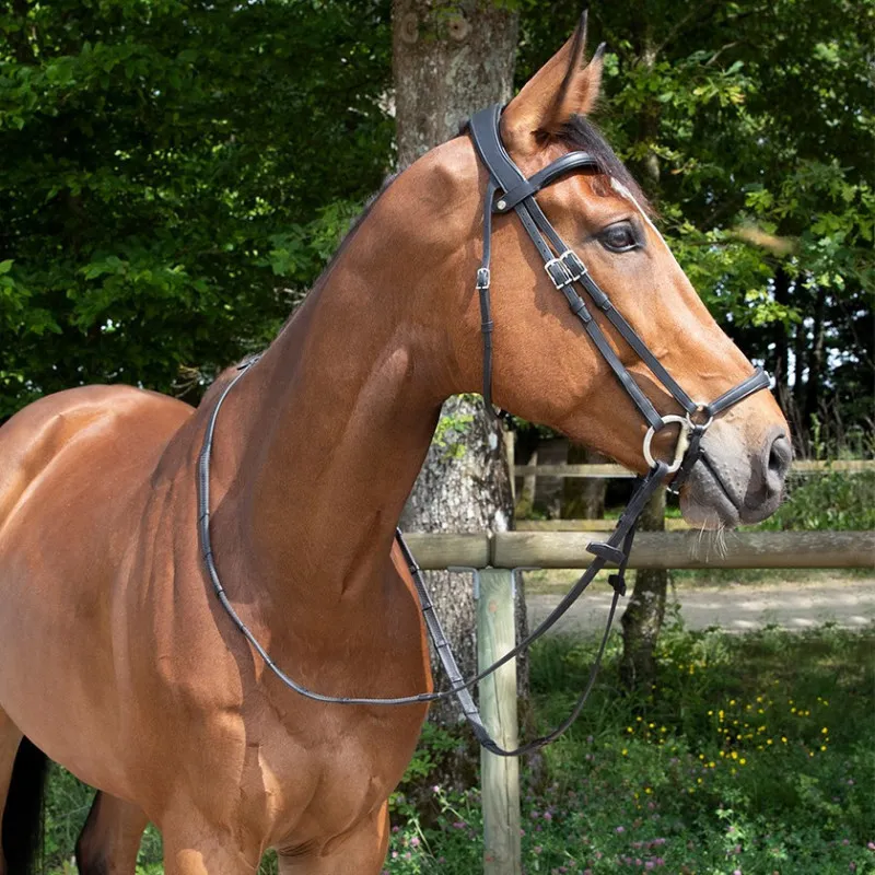 ANTARÈS - Bridon anatomique muserolle allemande Origin