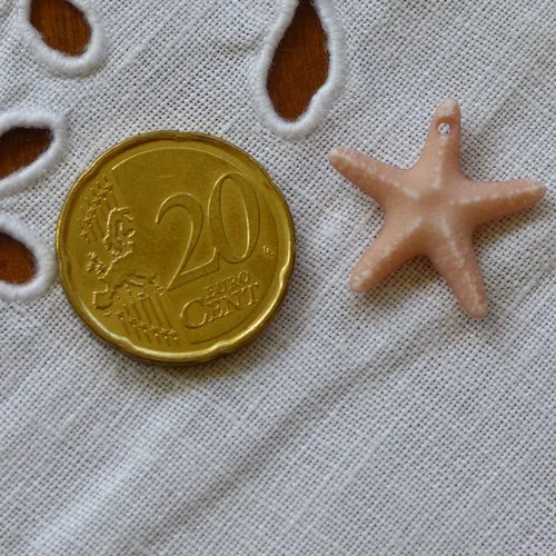 Bouton étoile de mer