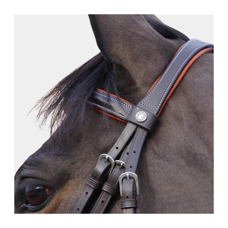 CANTER - Bridon Alme