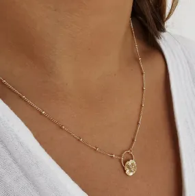Collier NOLA