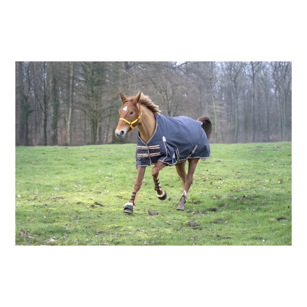 Couverture Equi-Theme Tyrex 1200 D pour cheval