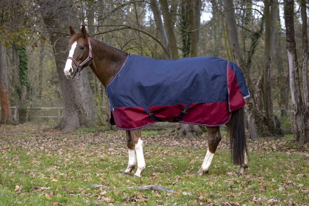 Couverture Equi-Theme Tyrex 1200 D pour cheval