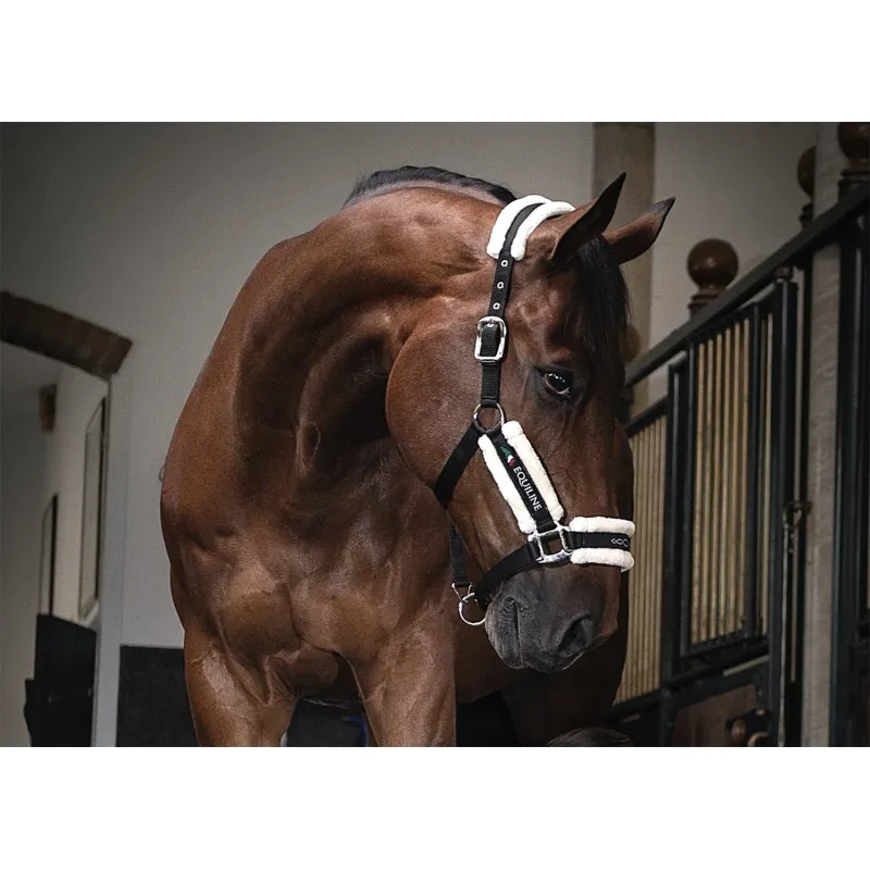 Licol Equiline doublé mouton synthétique pour chevaux sensibles