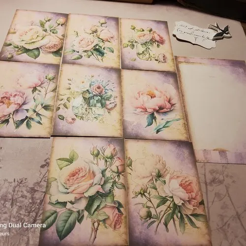 Lot de 8 images, 1 carte papier offert,  découpes papiers, éphémères, tags. scrapbooking