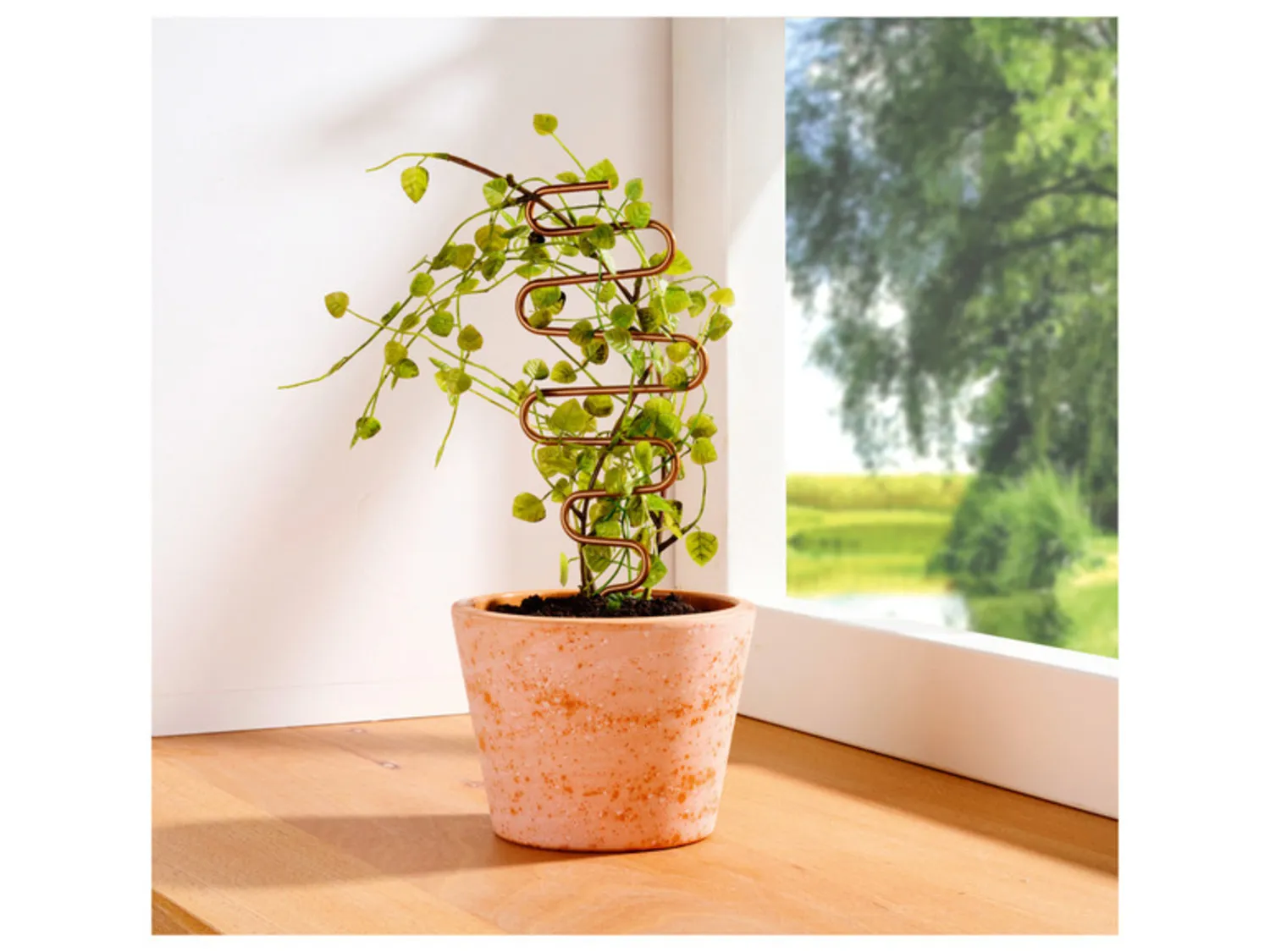 PARKSIDE® Tuteurs pour plantes ou set d'étiquettes pour plantes en cuivre