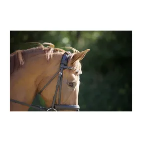 Protège-nuque Back on Track velcro - TEXTILES INTELLIGENTS - PADD