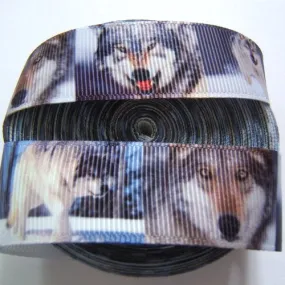 Ruban gros grain loups colorés,22mm vendu au métre